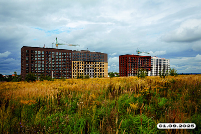 Жукова парк