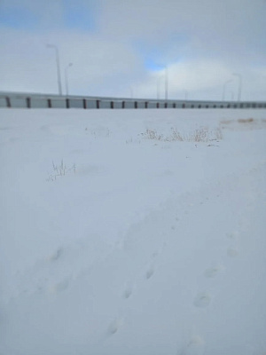 ЖК 