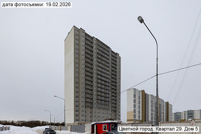 Цветной город