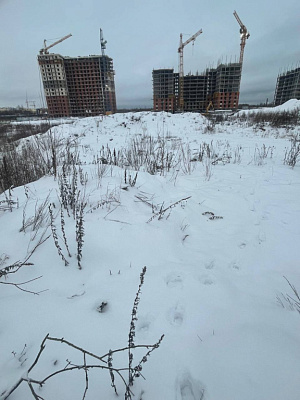 ЖК