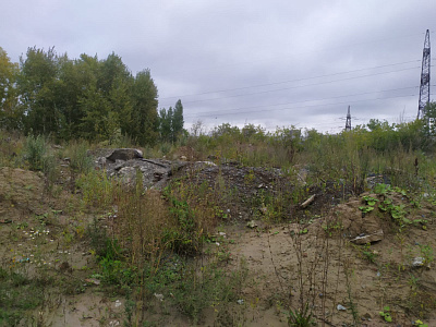 г. Новосибирск