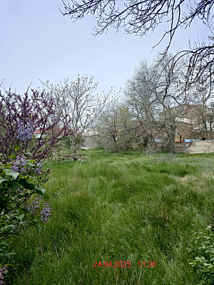г. Евпатория, пр-кт Ленина
