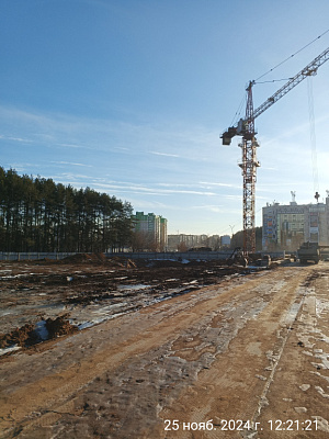 Норвежский лес