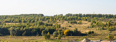 Новинки 