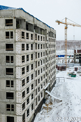 Новинки 