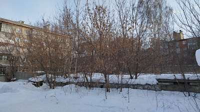 г. Новосибирск