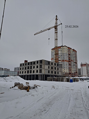 г. Брянск, Улица Улица Романа Брянского