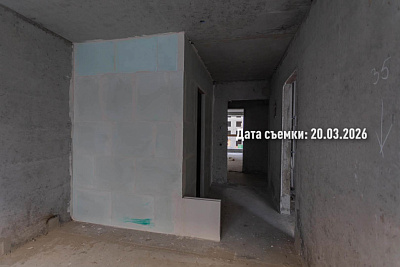 Концепт-проект 