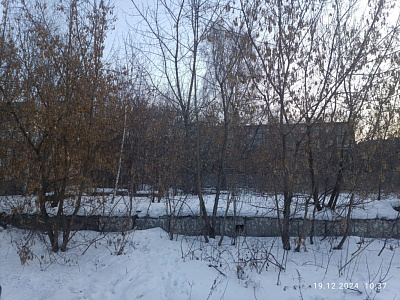 г. Новосибирск