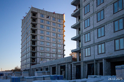 Экосити