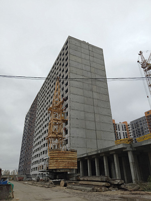 г. Воронеж, Улица