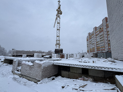Деревня Новосельцы