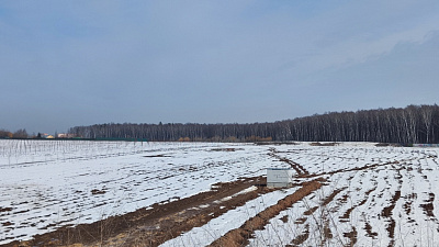Миниполис Дивное