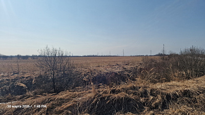 ЖК