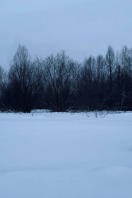 село С Новолуговое