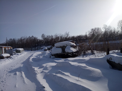Березовая роща