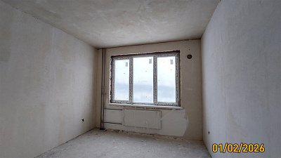 Ясно.Янино, ЛЕС