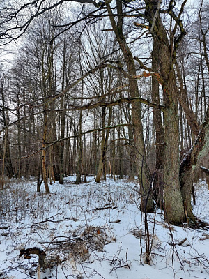 Комплекс апартаментов OTRADA resort