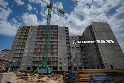 Концепт-проект