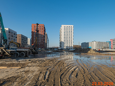 Янинский лес