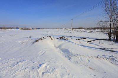 Движение61