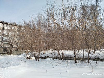 г. Новосибирск