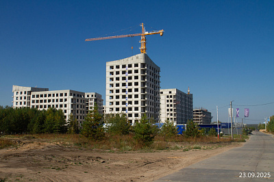 Экосити