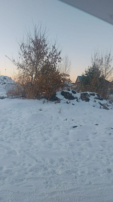 г. Бердск