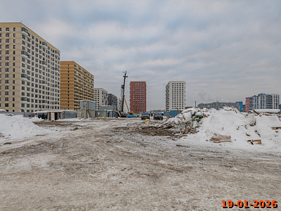 Янинский лес
