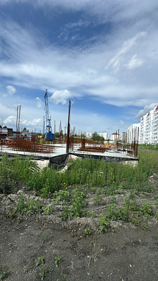 Новая Заря