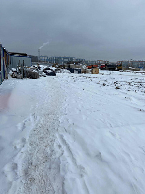 Расцветай в Янино