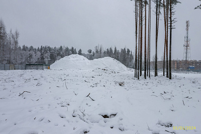 ВЕРЕН НОРТ СЕРТОЛОВО