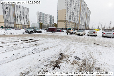 Цветной город