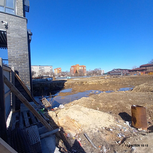 Дальневосточный Талисман