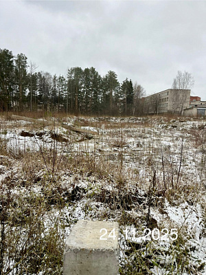 г. Чайковский, Улица Ленина