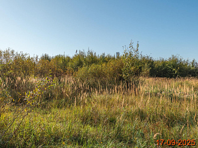 Таллинский парк