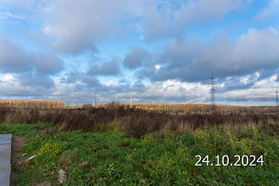 ЛО, Деревня Новосаратовка