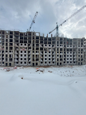 МО, Поселок городского типа Радумля, район ММС-2