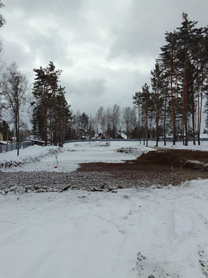Расцветай у Академгородка
