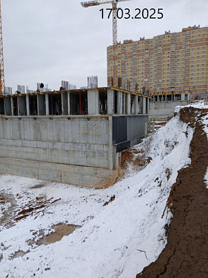 Платон Парк поз 1