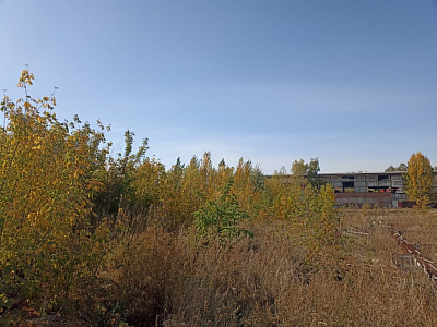 г. Тамбов, улица Заводская