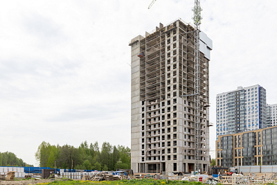 Окла Вижн