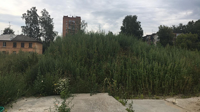 ЖК Новиков