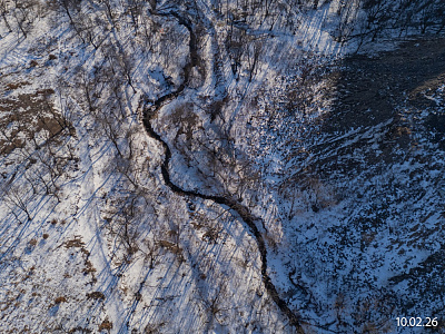 Квартал Нейбута