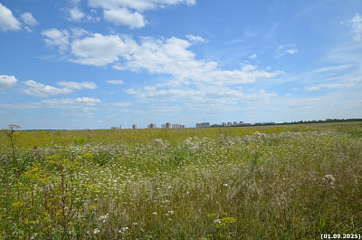 СТОРИ ПАРК