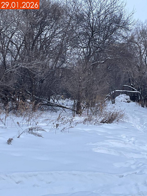 ЖК Флабеллум