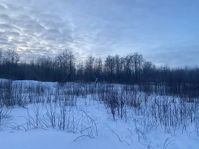 ЖК