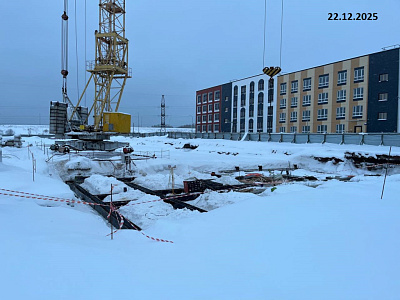 Кварталы новой жизни 