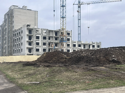 г. Тамбов, Улица Имени С.И. Савостьянова