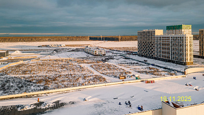 ЛО, Деревня Новосаратовка